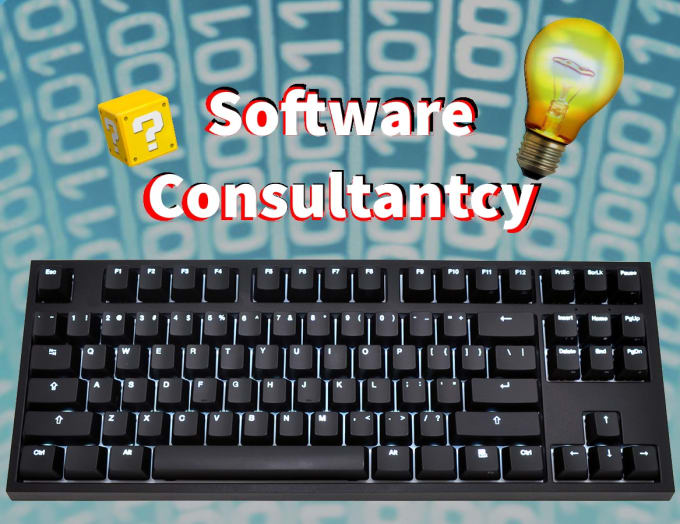 Gig Preview - Provide software consultancy for your project or idea