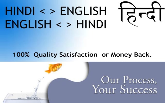 Gig Preview - Provide hindi translation service