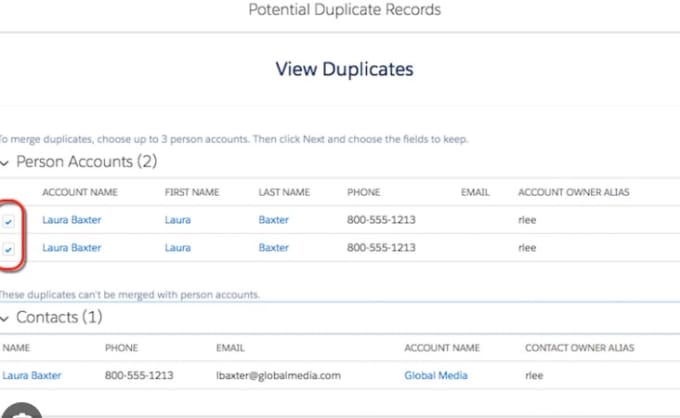 Gig Preview - Salesforce data cleansing services