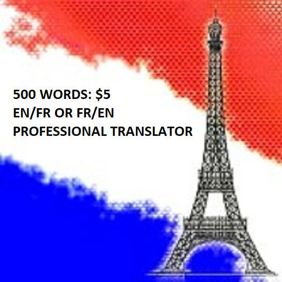 Gig Preview - Translate today 1,000 words english to french expertly