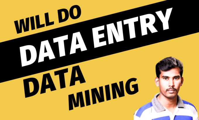 Gig Preview - Do data entry and data mining