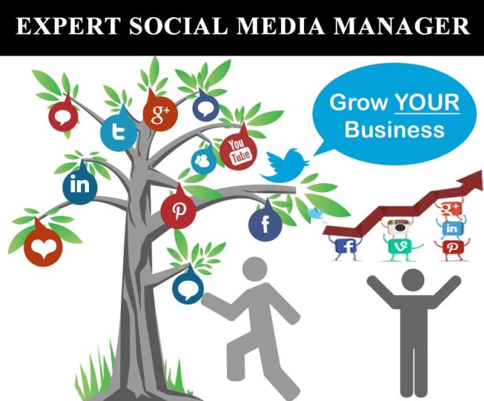 Gig Preview - Be your professional social media manger