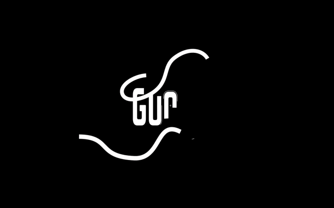 Gig Preview - Make original custom logo animation