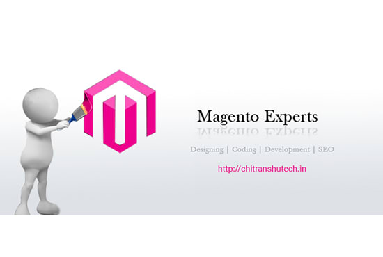 Gig Preview - Expert magento 2  developer