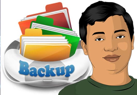 Gig Preview - Create a backup of your website