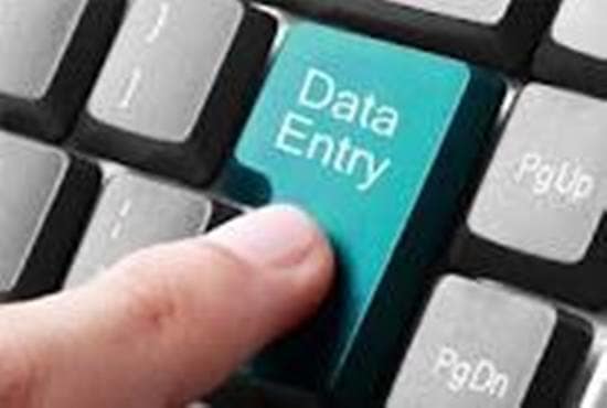 Gig Preview - Do all type of data entry as your requirement