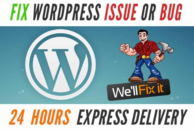 Gig Preview - Do for you wordpress help and fix website errors quickly