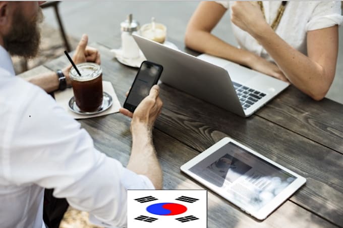 Gig Preview - Review your business and give tips about korea