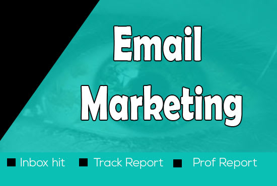 Gig Preview - Do inbox delivery email marketing