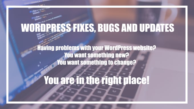 Gig Preview - Do bug fixes, edits or update your wordpress website