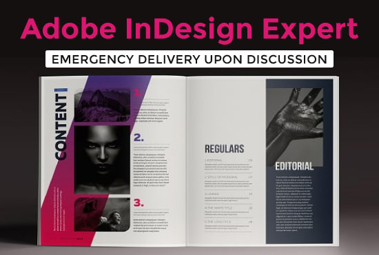 Gig Preview - Deliver adobe indesign flyer brochure documents