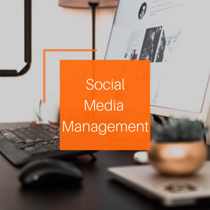 Gig Preview - Manage your social media accounts