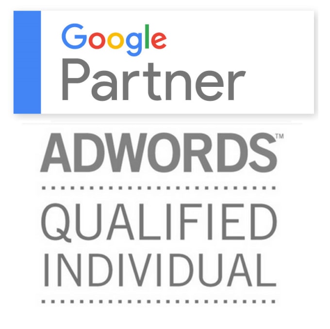 Gig Preview - Review your google adwords campaign performance