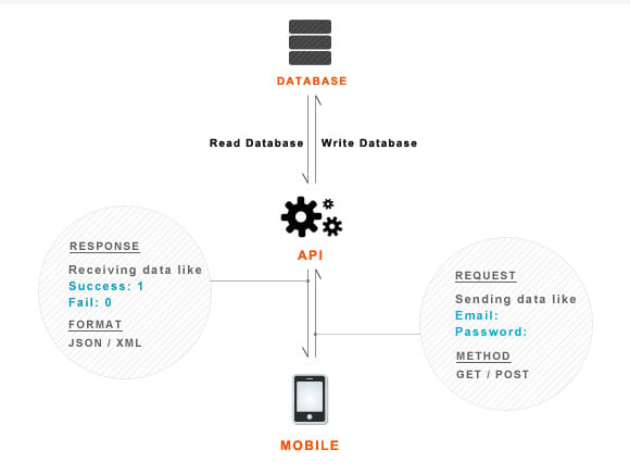 Gig Preview - Do API for web and mobile application