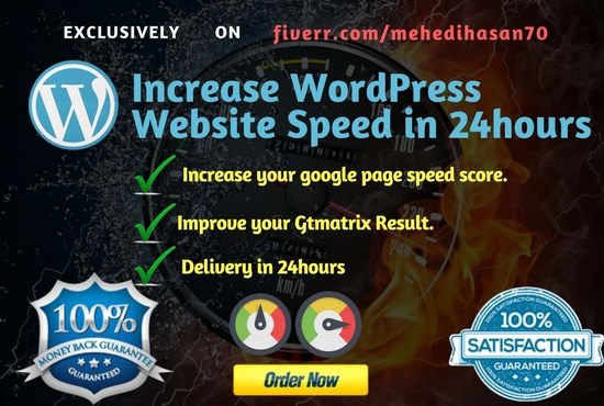 Gig Preview - Speed up wordpress website speed in 24hours