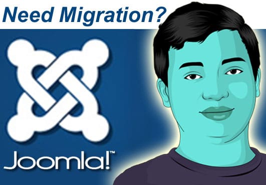 Gig Preview - Do upgrade, migration, update for joomla website