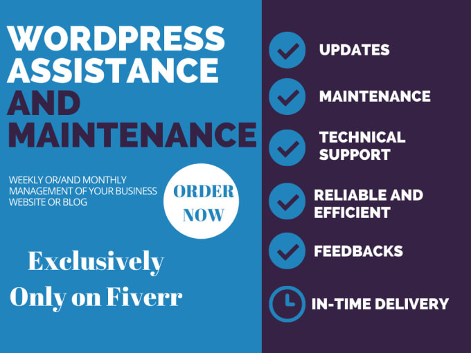 Gig Preview - Do wordpress maintenance, website update, wordpress support