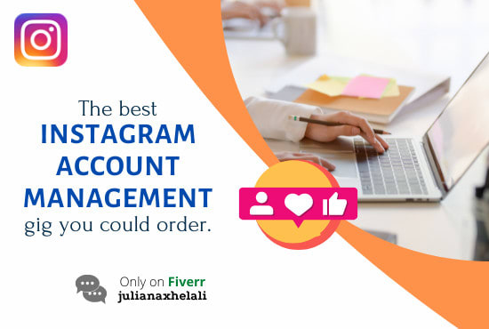 Gig Preview - Manage your professional instagram account