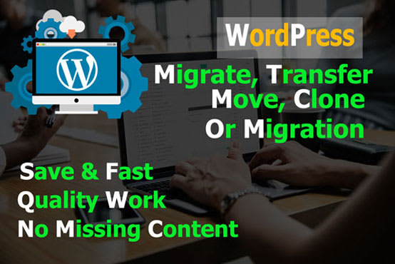 Gig Preview - Transfer, clone or migration wordpress website