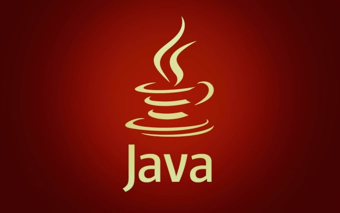 Gig Preview - Do your java programme within 24 hours