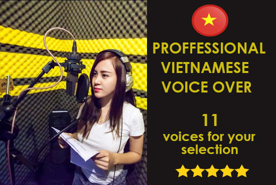 Gig Preview - Record  professional vietnamese voice over