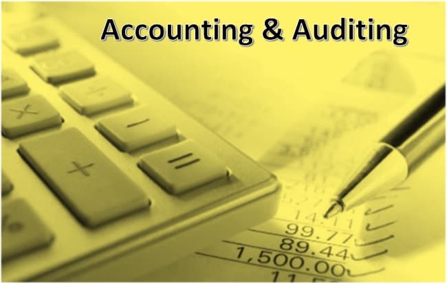 Gig Preview - Provide auditing services and analysis for the business