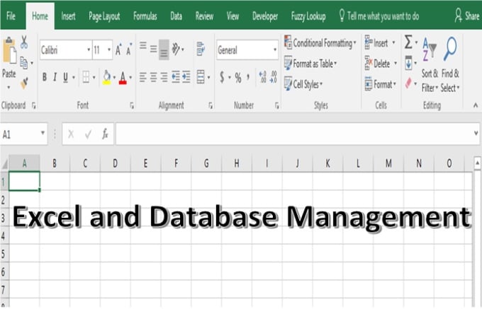 Gig Preview - Do data entry, listing, mining, management and analysis