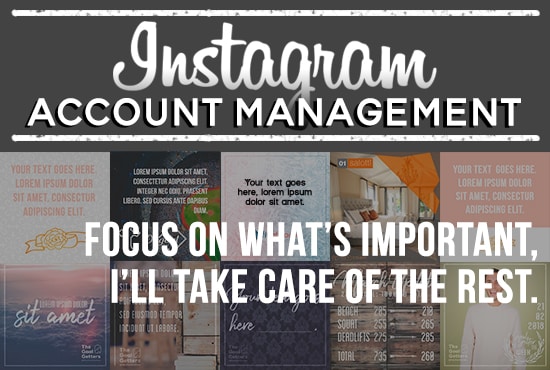 Gig Preview - Manage your ig account