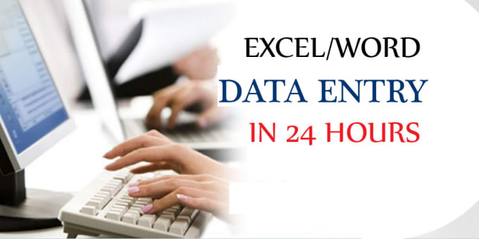 Gig Preview - Do data entry job for you in 24 hours