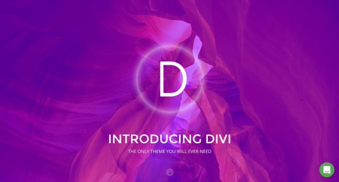 Bestseller - build modern, elegant wordpress website with divi theme