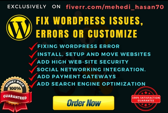 Gig Preview - Fix wordpress website issues, errors or bug in 24hours