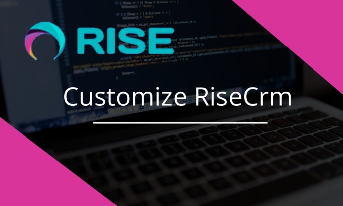 Gig Preview - Create, customize and fix rise CRM