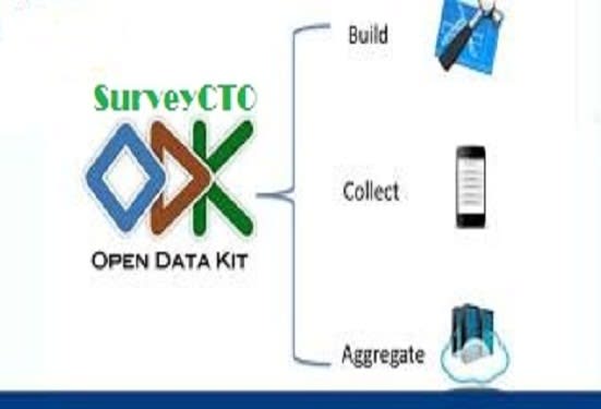 Gig Preview - Design an electronic questionnaire on odk or cto xlsform kobo