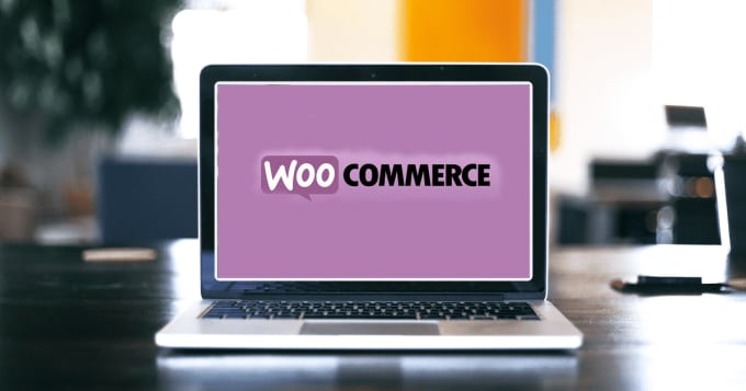 Gig Preview - Do any woocommerce customization