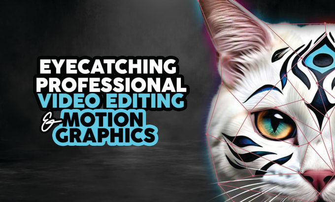 Bestseller - do professional video editing and motion graphic