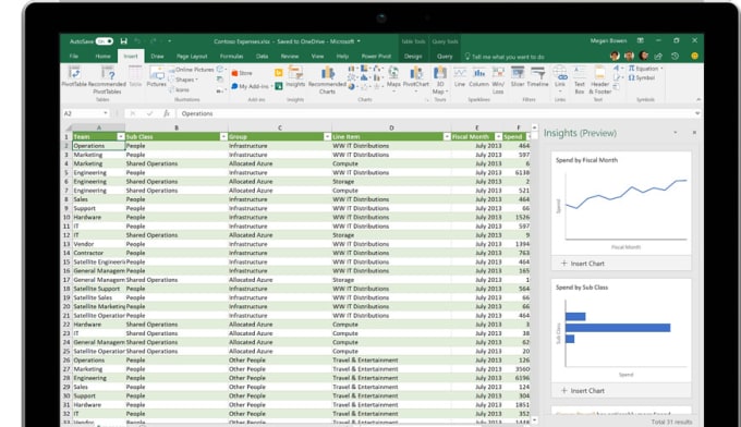 Gig Preview - Create microsoft excel spreadsheets for your custom use