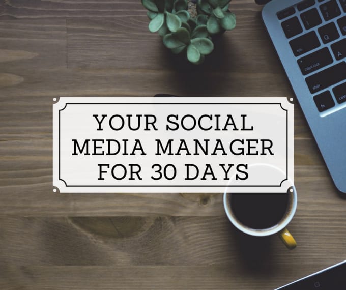 Gig Preview - Be your social media manager marketer for 30 days