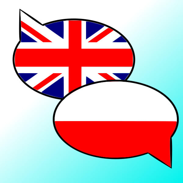 Gig Preview - Translate your english content to perfect polish