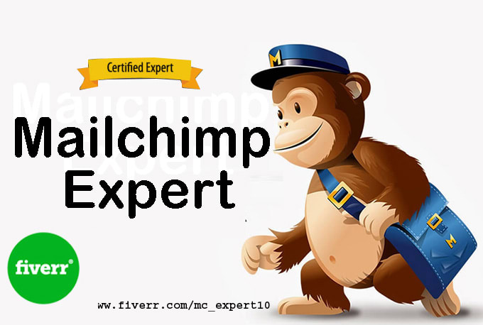 Gig Preview - Be your mailchimp expert