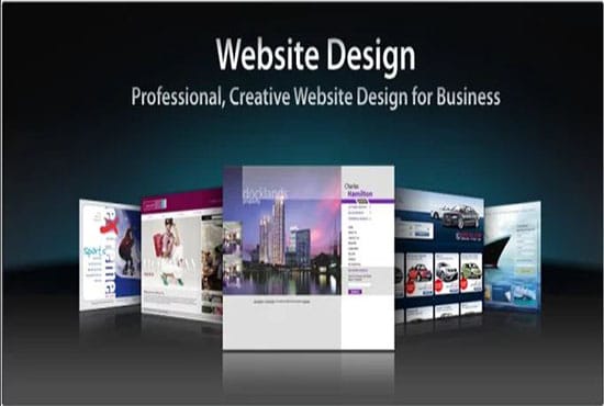 Gig Preview - Design and develop a professional website for you