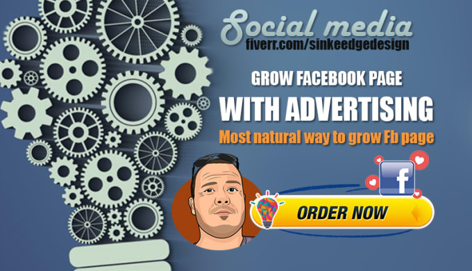 Gig Preview - Boost your business page with facebook ads