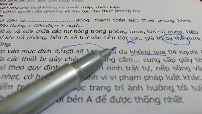 Gig Preview - Check grammar and spelling errors on vietnamese document