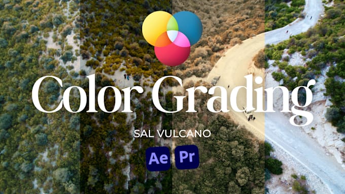 Gig Preview - Do cinematic color grading and color correction