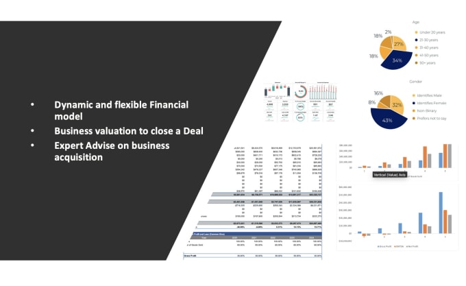 Gig Preview - Do financial plan financial forecast and business valuation