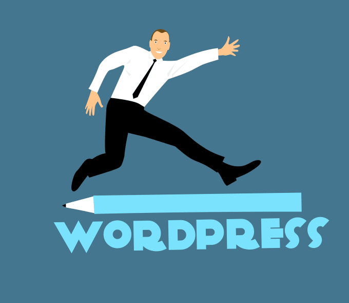 Gig Preview - Fix wordpress issue on your website