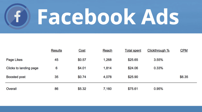 Gig Preview - Manage, setup and optimize your facebook ads campaigns