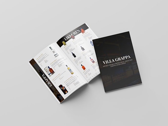 Gig Preview - Design a professional brochure, leaflet, catalog, flyer