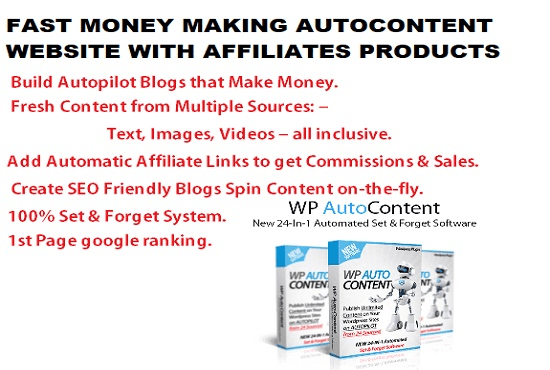 Gig Preview - Build autopilot money making affiliate marketing website