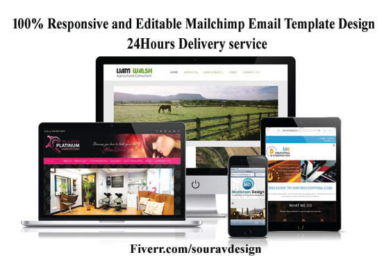 Gig Preview - Design editable mailchimp template within 24hours