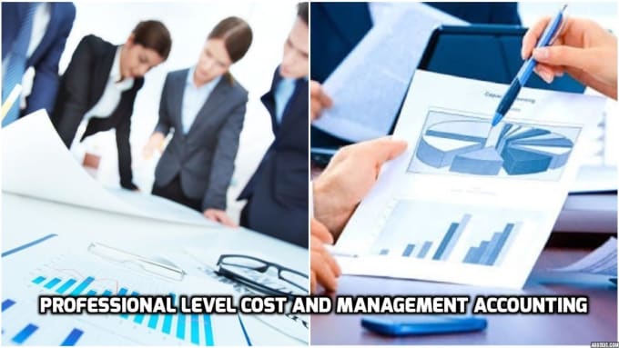 Gig Preview - Do professional level cost and management accounting